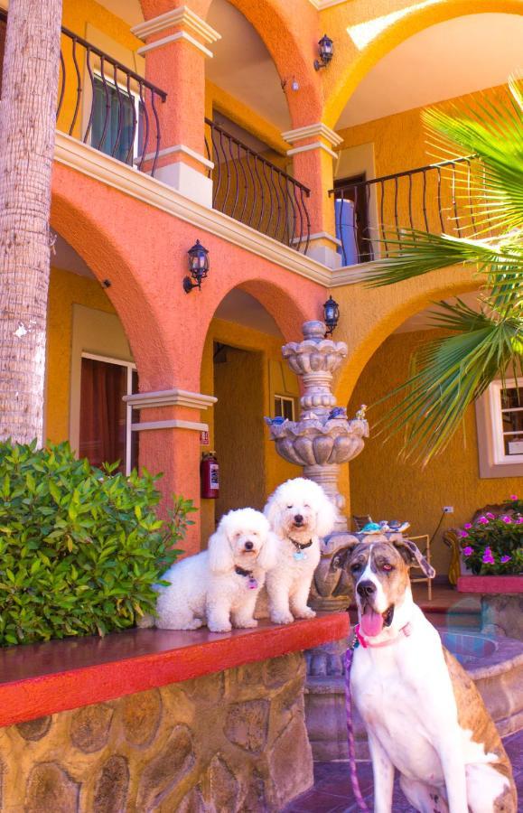 Hotel Angra Лорето Экстерьер фото